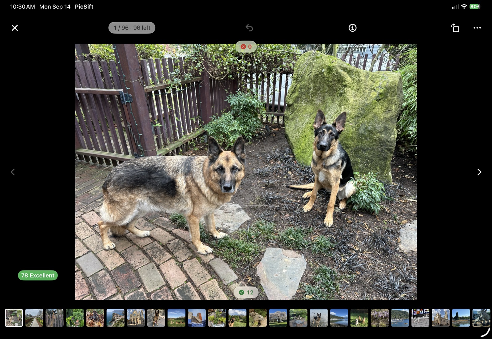 PicSift on an iPad: the Curate view showing one photo of two German shepherds full screen, scored 78, Excellent, with a filmstrip of the ranked set below.